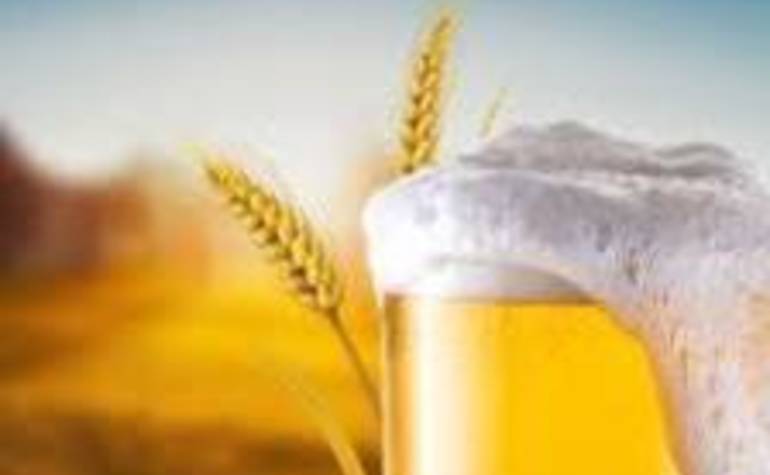 Investim Empresa a venda Investim Empresa a venda